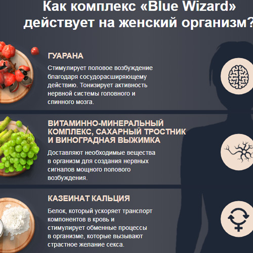 Blue-Wizard2
